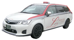 corollafielder